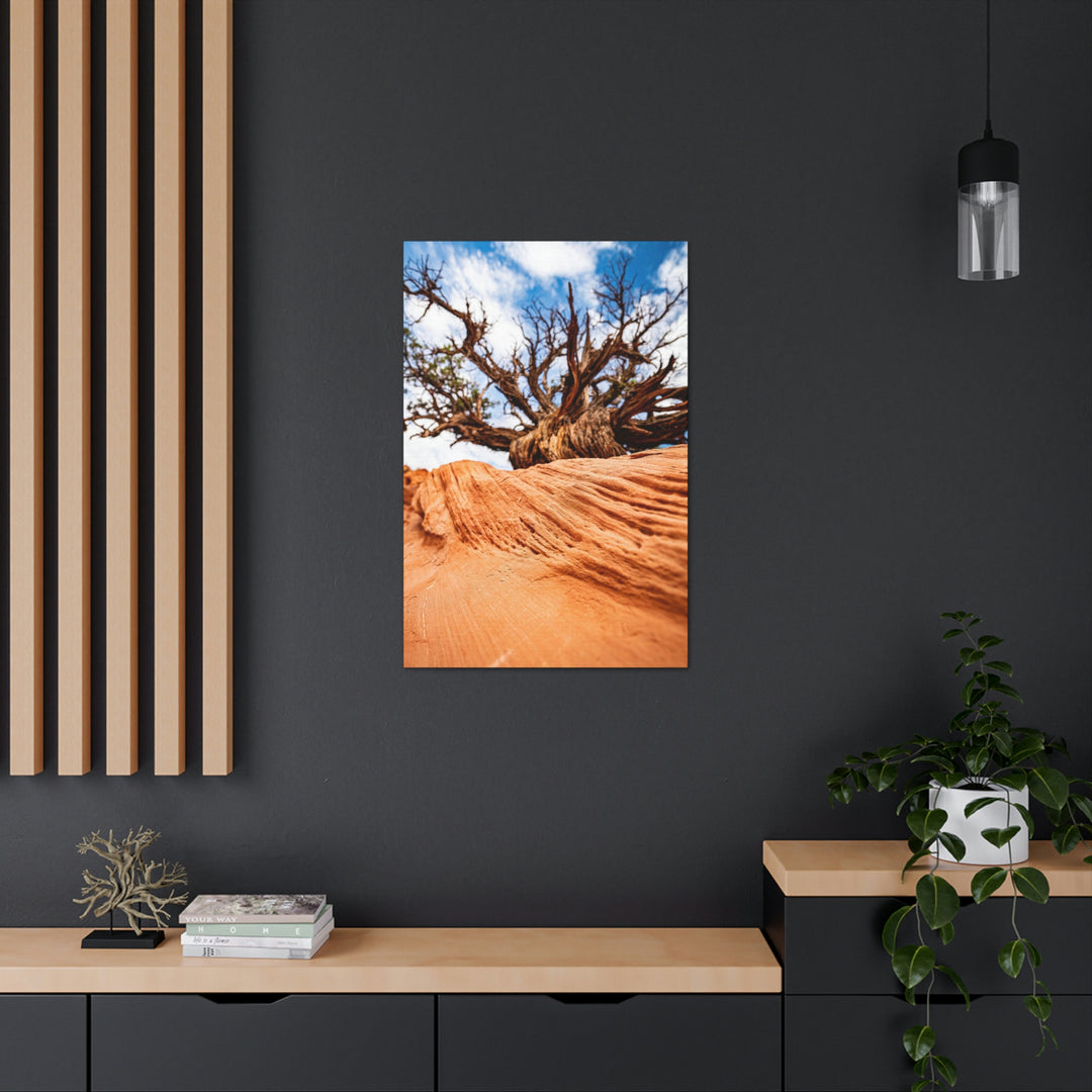 Desert Reach - Canvas