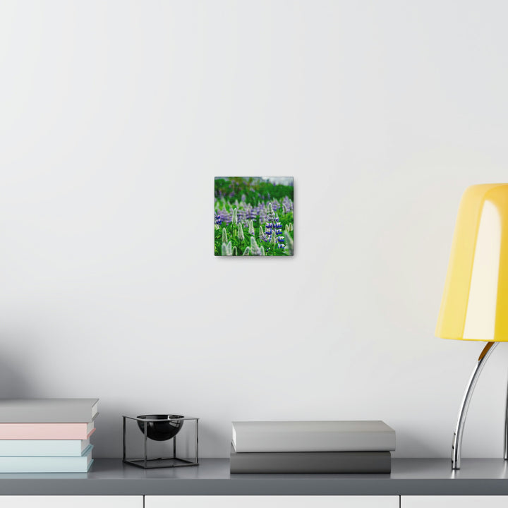 Glowing Lupin with Mountains - Canvas