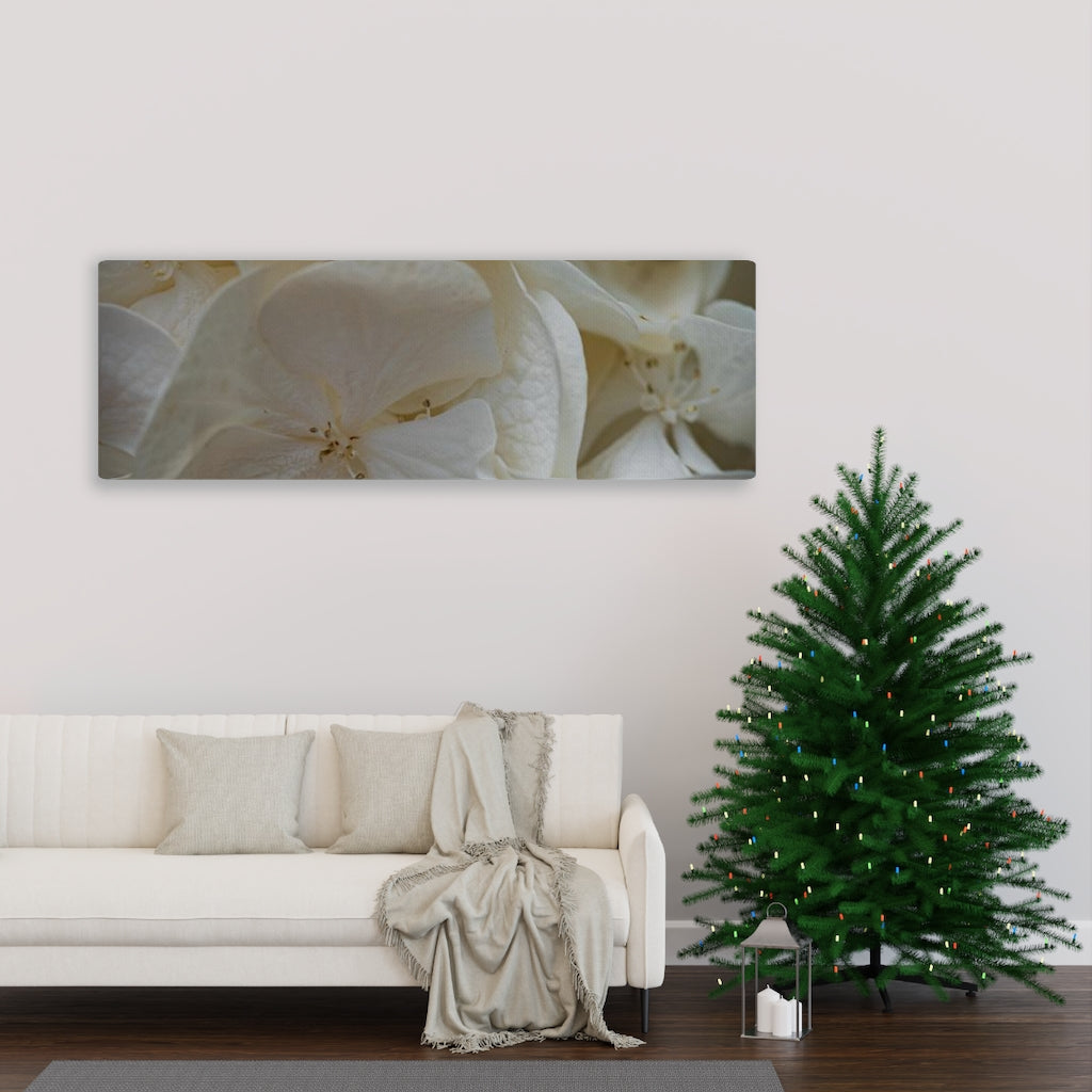 White Hydrangea Detail - Canvas