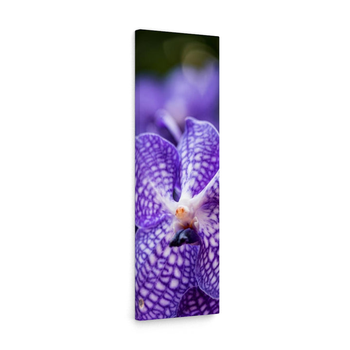 Orchid Detail - Canvas