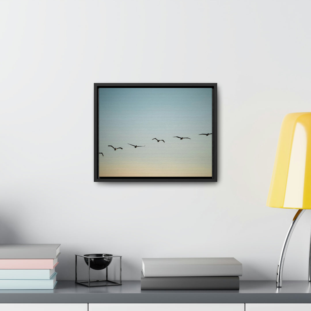 Brown Pelicans in Flight - Canvas with Frame