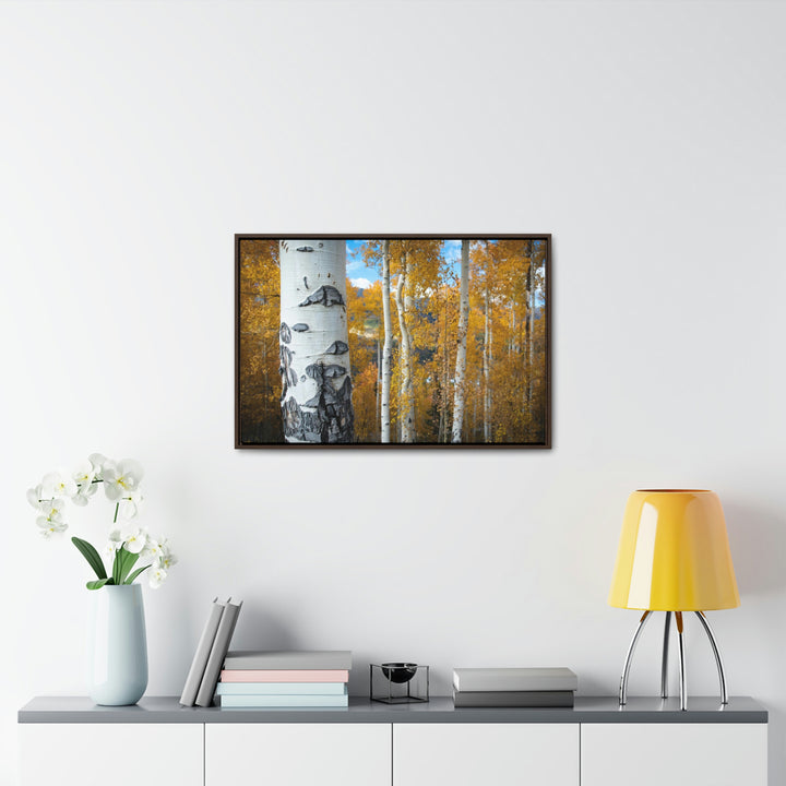 Aspens Changing - Canvas with Frame