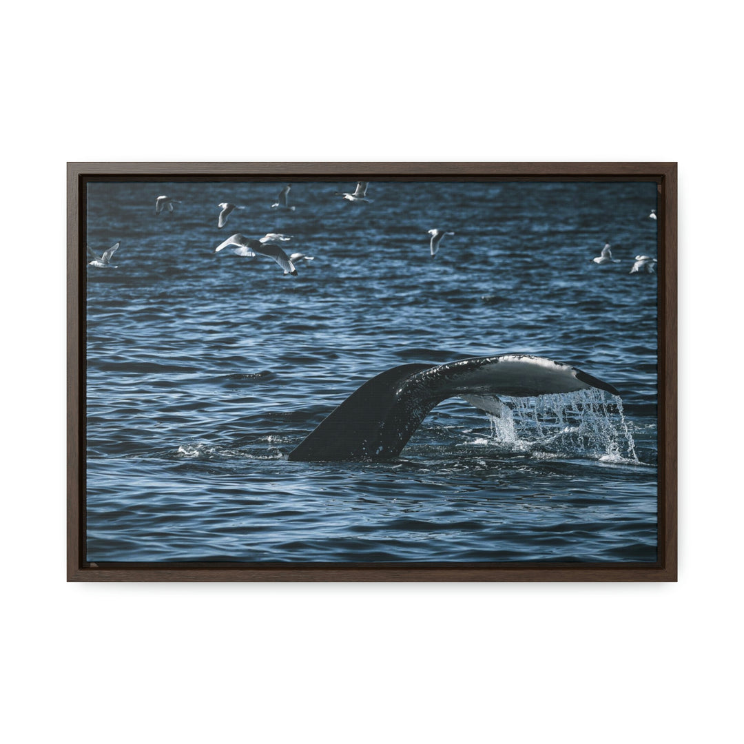 Feeding Tail - Canvas with Frame