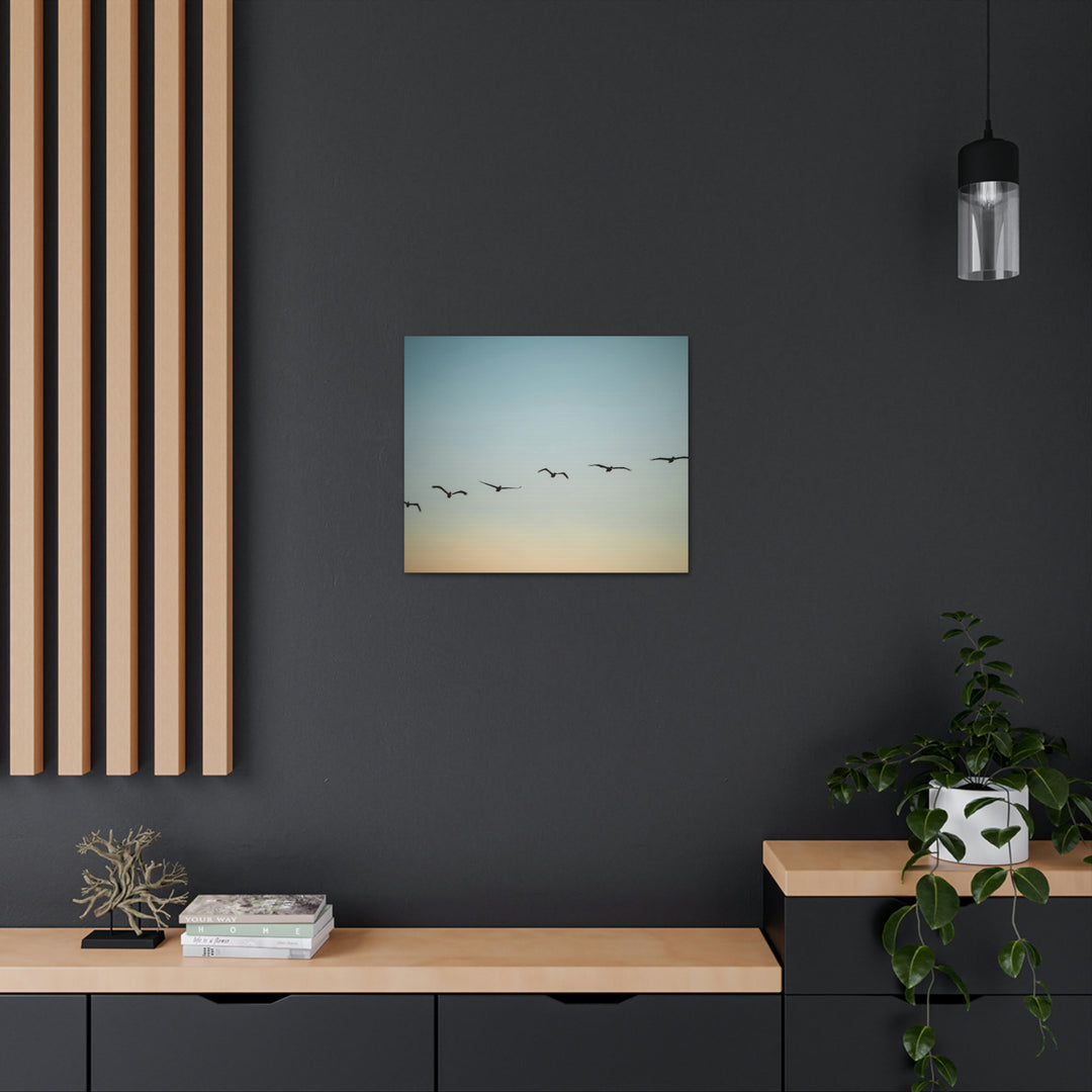 Brown Pelicans in Flight - Canvas