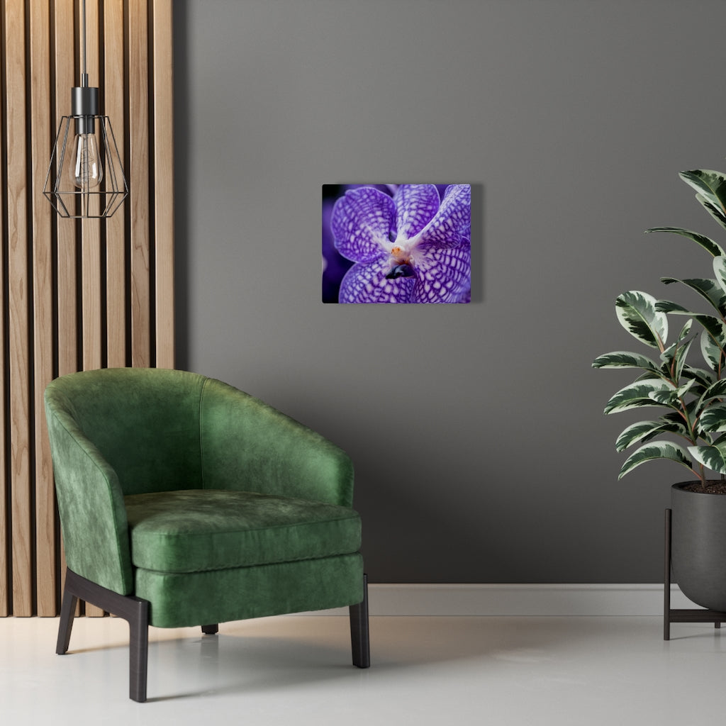 Orchid Detail - Canvas