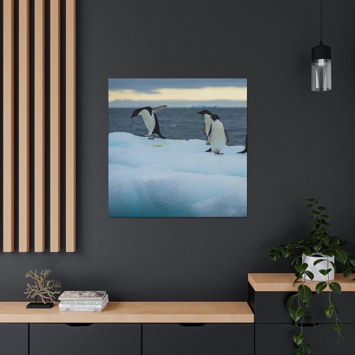 Penguin Dance - Canvas