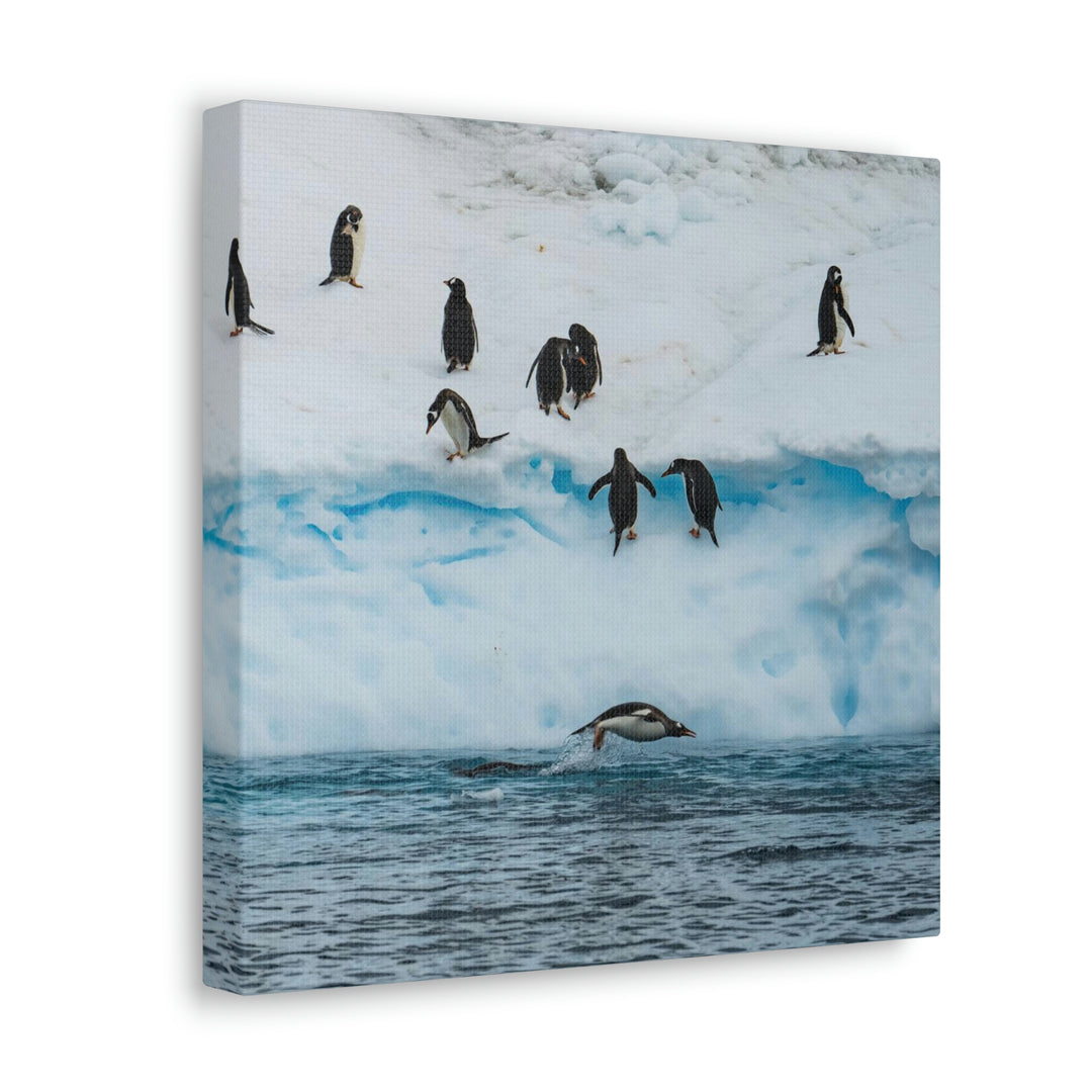 Porpoising Penguin - Canvas