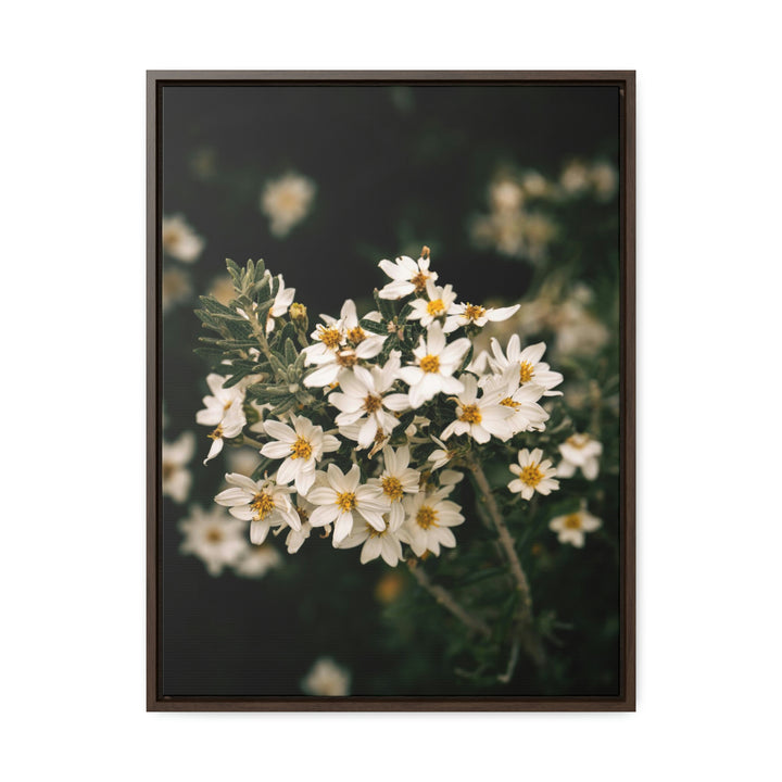 A Touch of White - Canvas with Frame