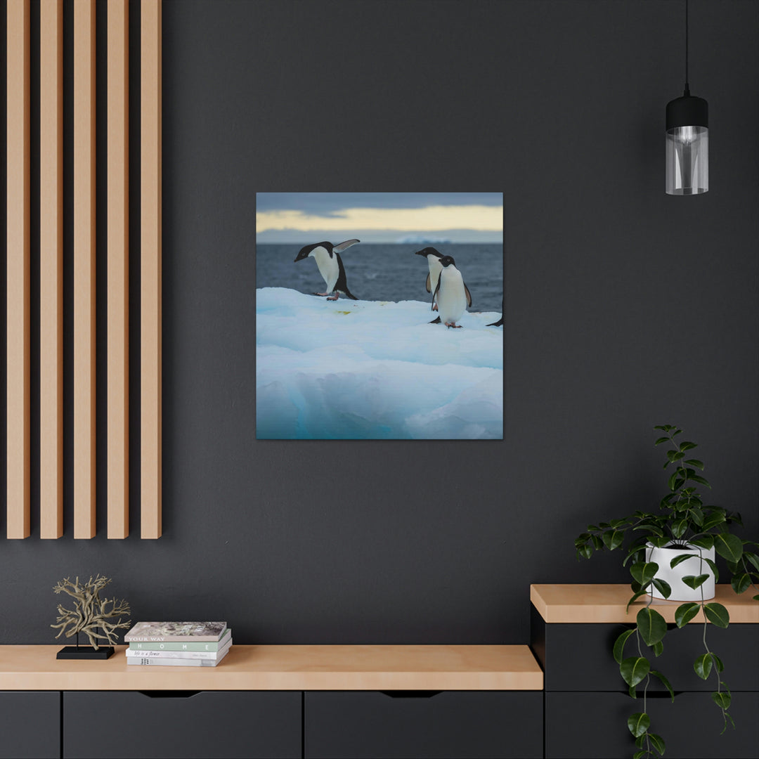 Penguin Dance - Canvas