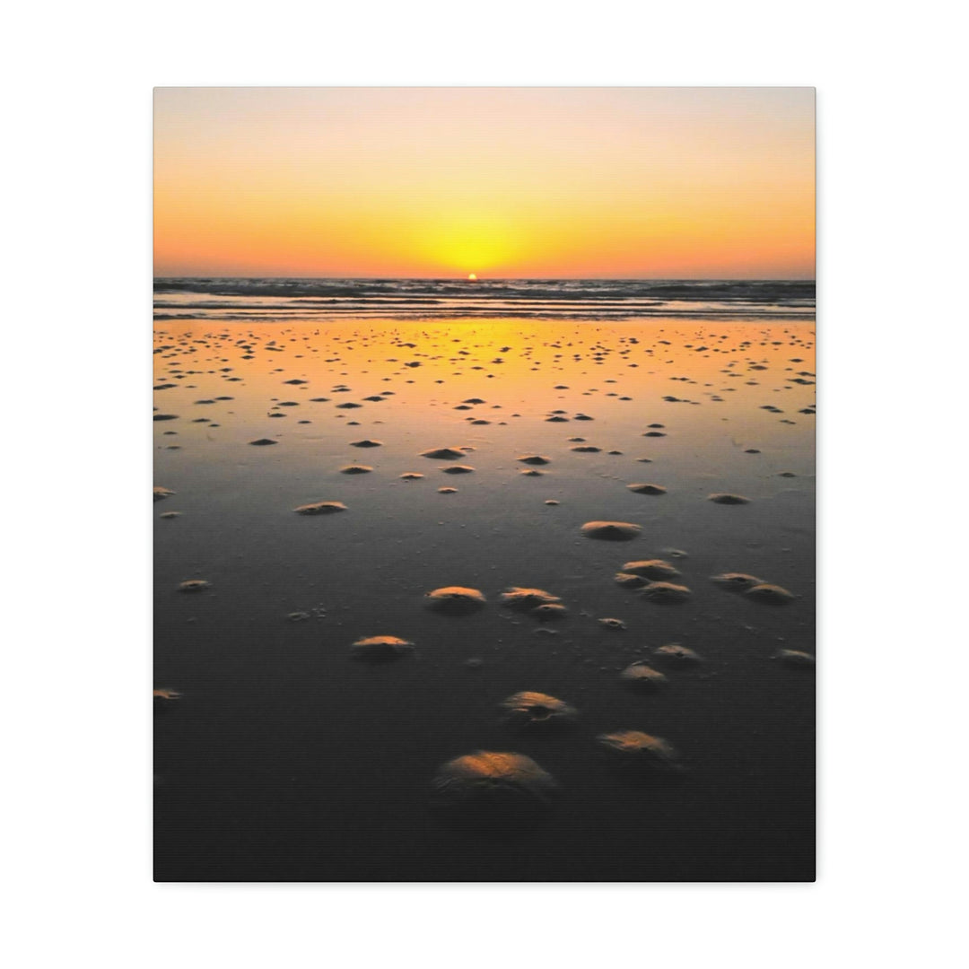 Burrows at Sunrise - Canvas