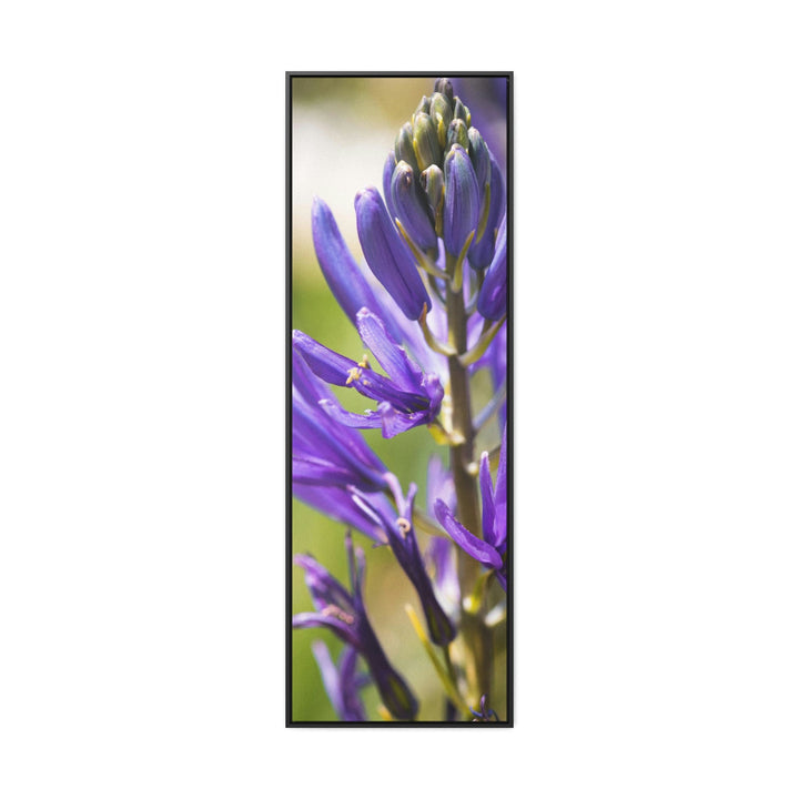 Camas in Bloom - Canvas with Frame - Visiting This World