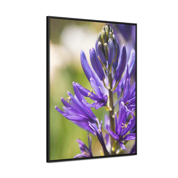 Camas in Bloom - Canvas with Frame - Visiting This World