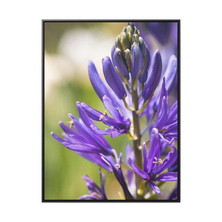 Camas in Bloom - Canvas with Frame - Visiting This World