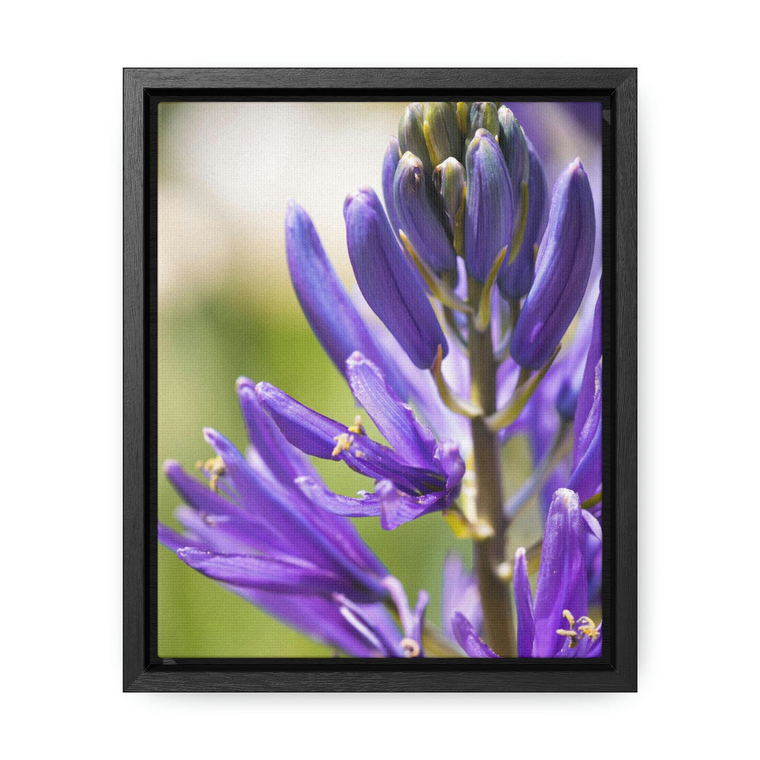 Camas in Bloom - Canvas with Frame - Visiting This World