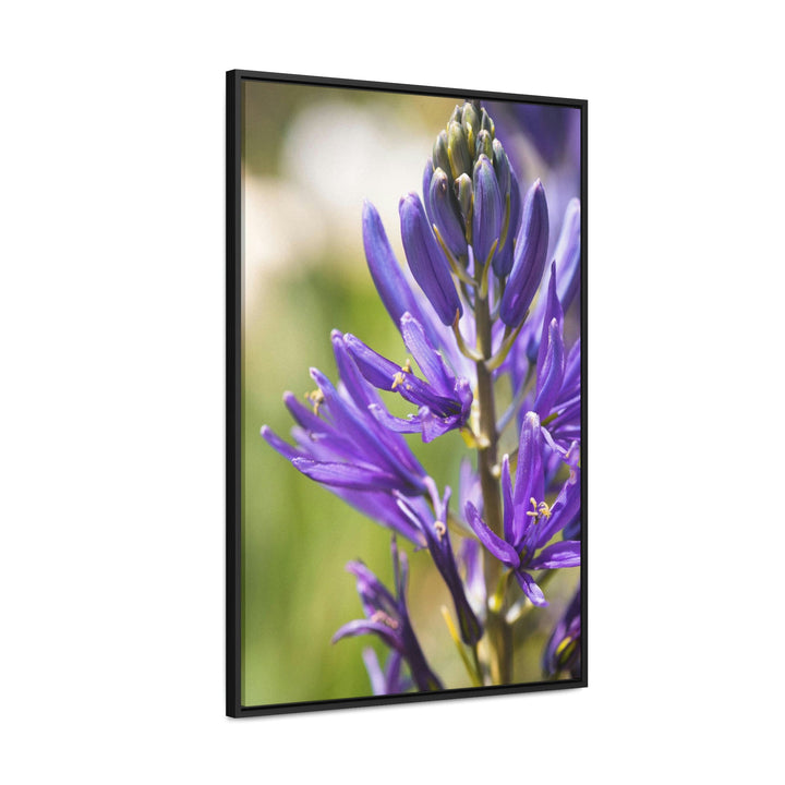 Camas in Bloom - Canvas with Frame - Visiting This World