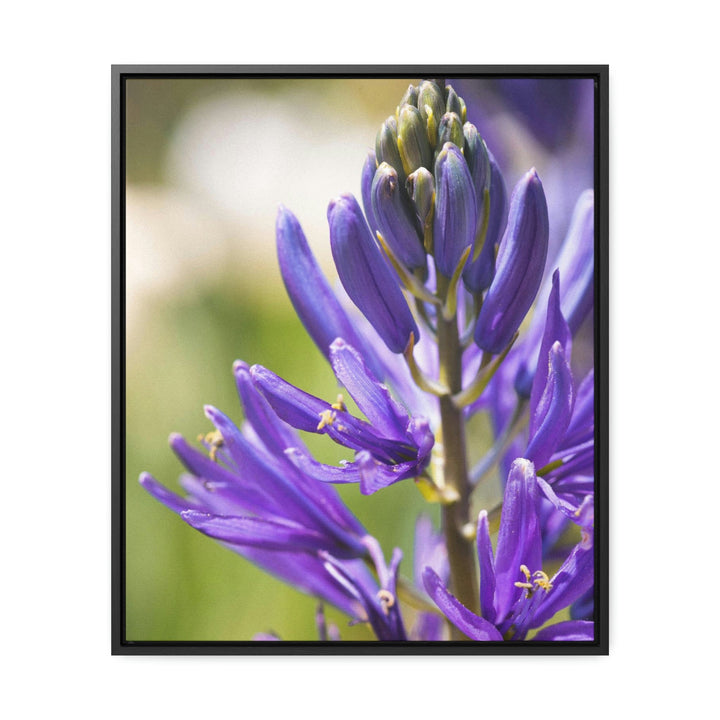 Camas in Bloom - Canvas with Frame - Visiting This World