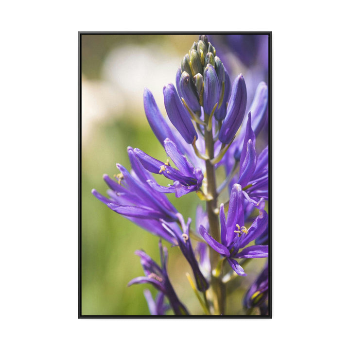 Camas in Bloom - Canvas with Frame - Visiting This World