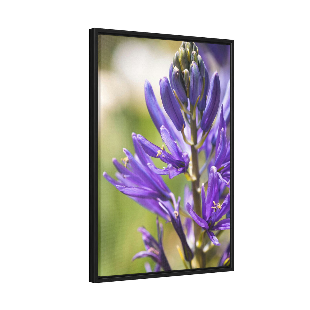 Camas in Bloom - Canvas with Frame - Visiting This World