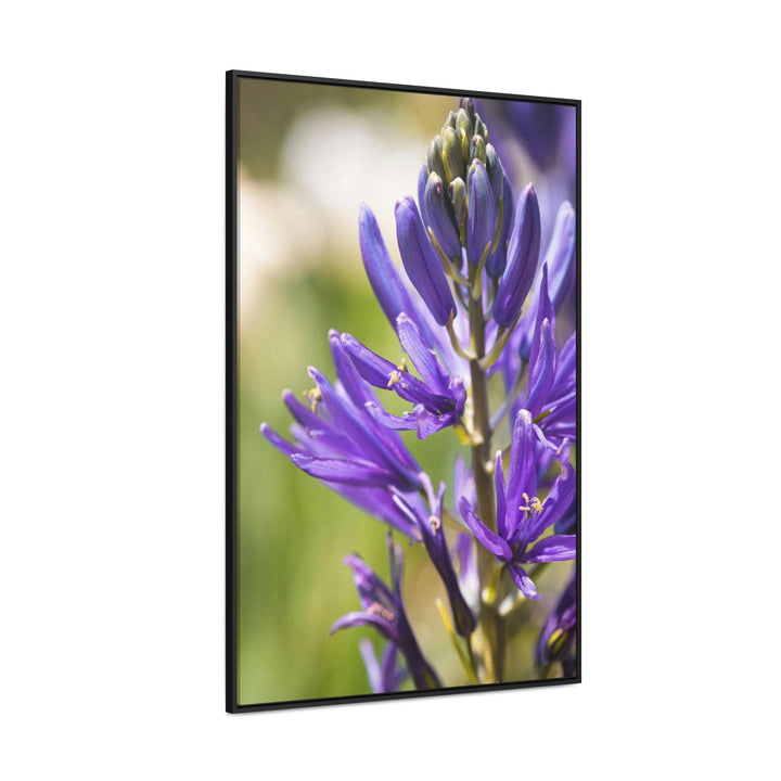 Camas in Bloom - Canvas with Frame - Visiting This World