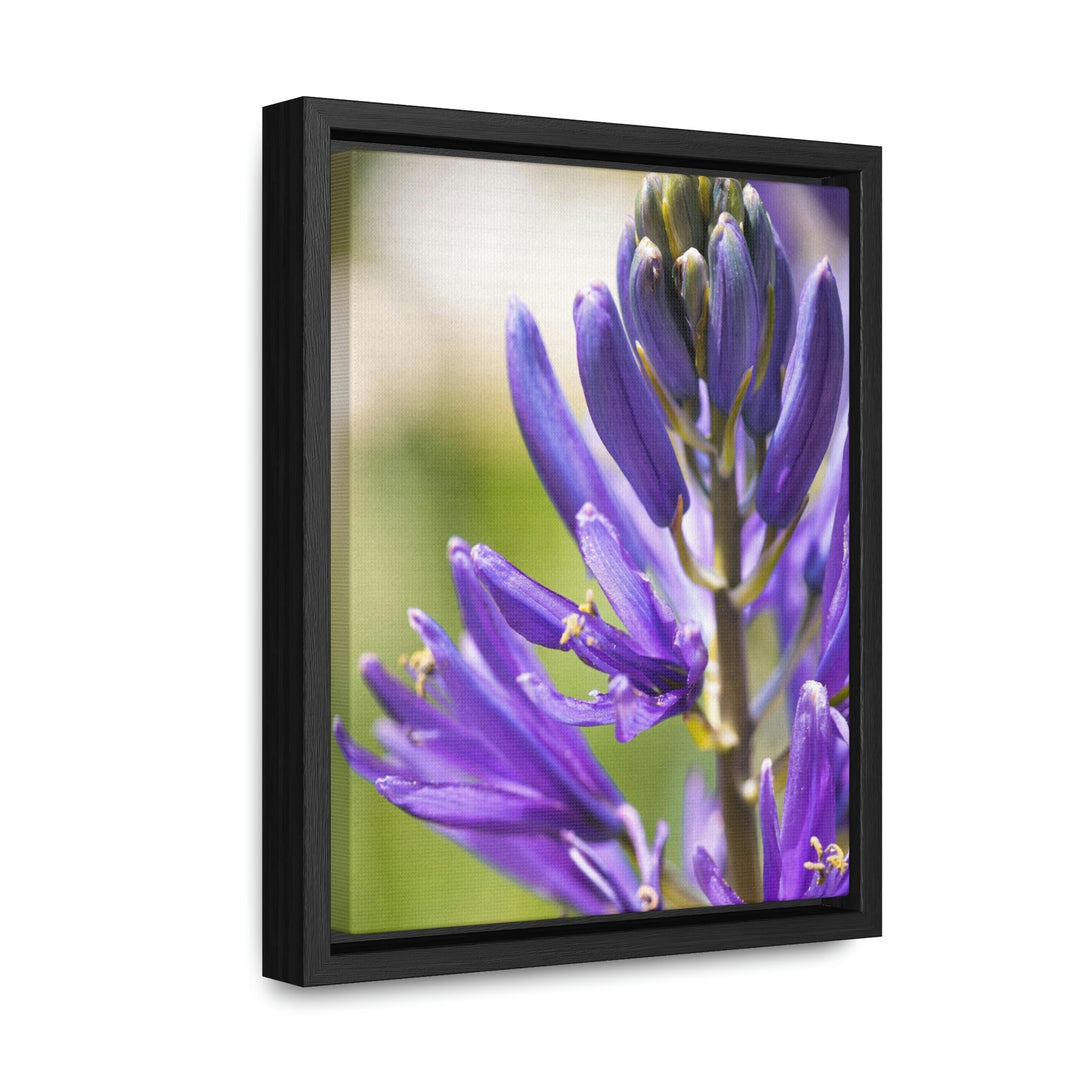 Camas in Bloom - Canvas with Frame - Visiting This World