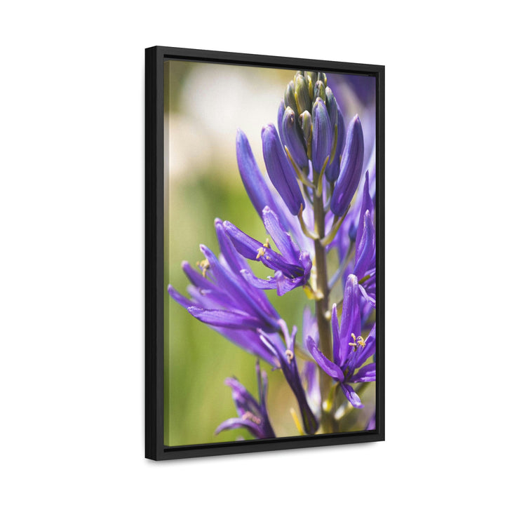 Camas in Bloom - Canvas with Frame - Visiting This World