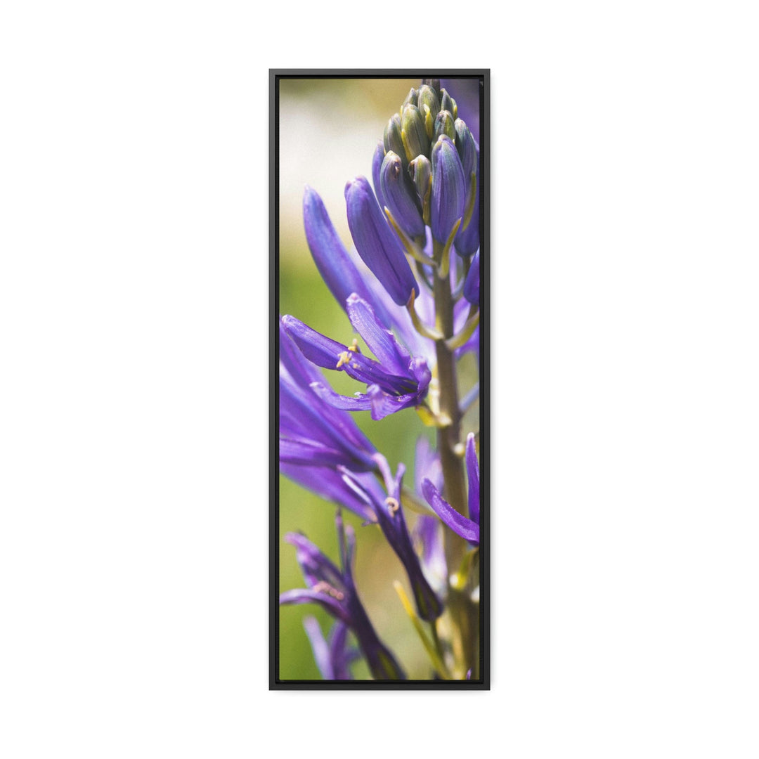 Camas in Bloom - Canvas with Frame - Visiting This World