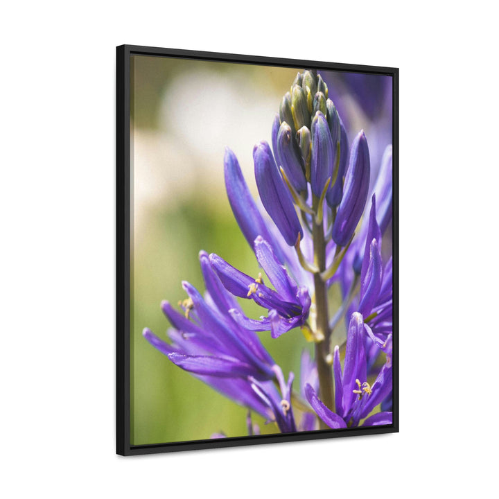 Camas in Bloom - Canvas with Frame - Visiting This World