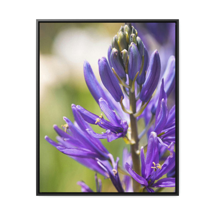 Camas in Bloom - Canvas with Frame - Visiting This World