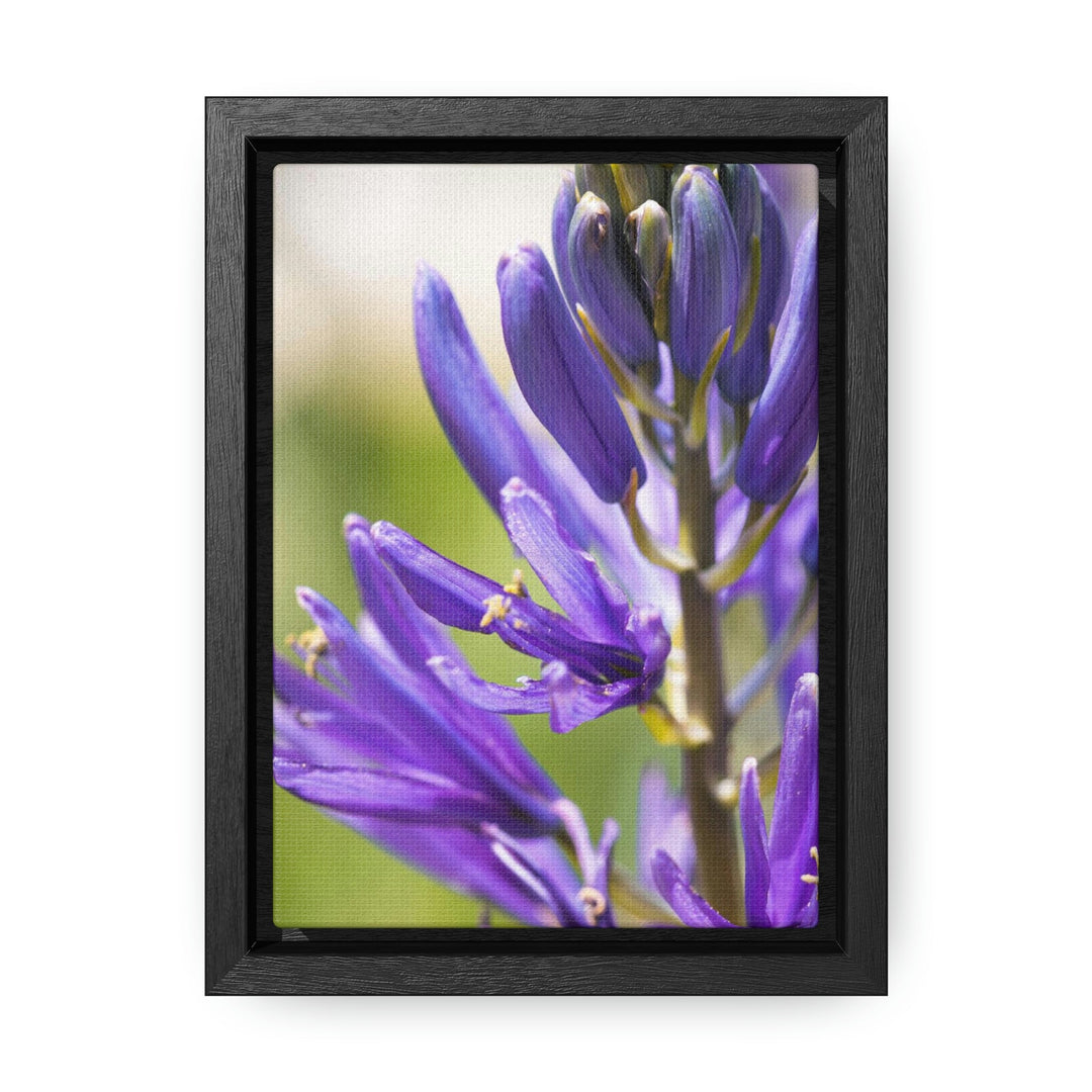 Camas in Bloom - Canvas with Frame - Visiting This World