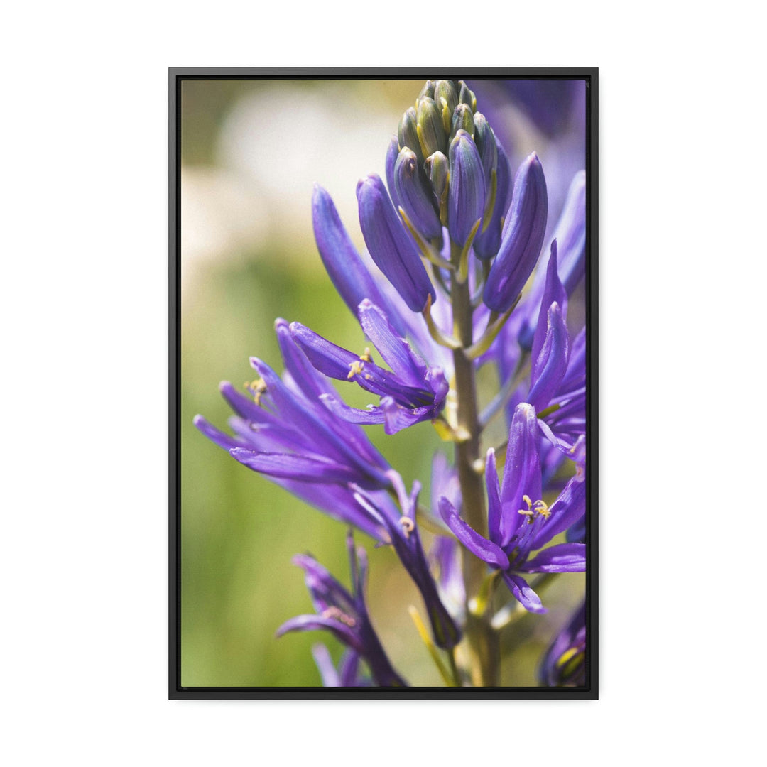 Camas in Bloom - Canvas with Frame - Visiting This World