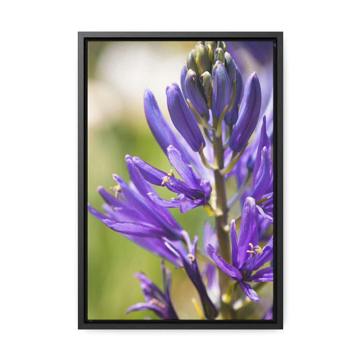 Camas in Bloom - Canvas with Frame - Visiting This World