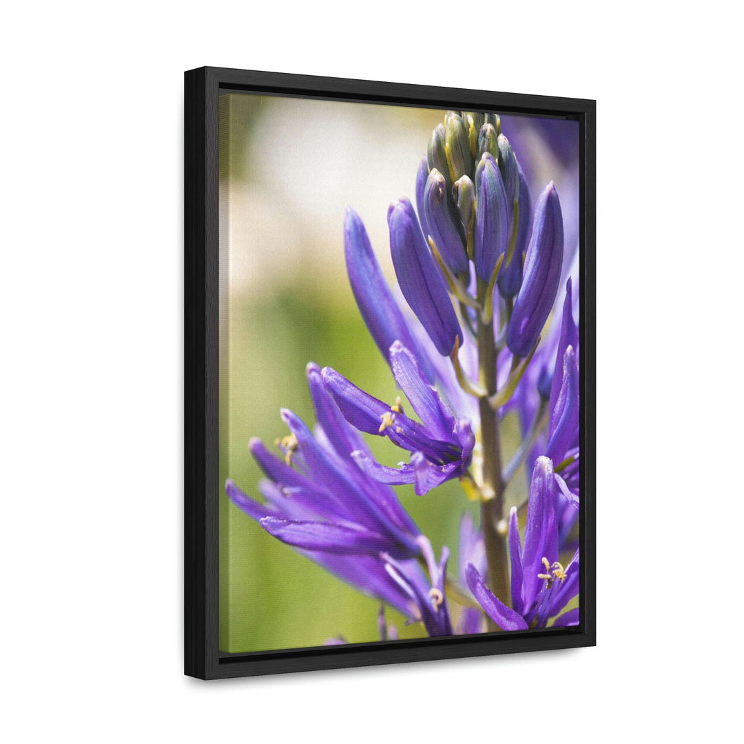 Camas in Bloom - Canvas with Frame - Visiting This World