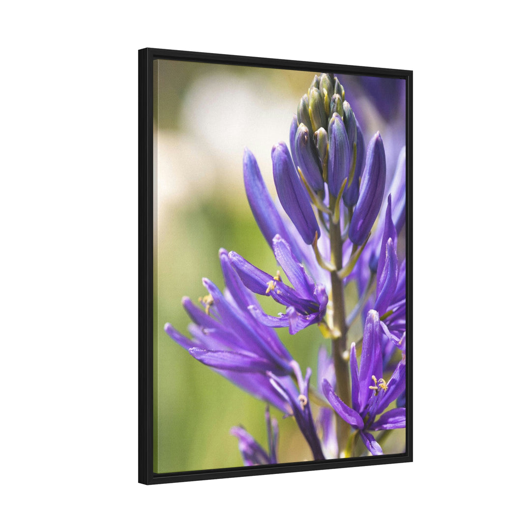 Camas in Bloom - Canvas with Frame - Visiting This World