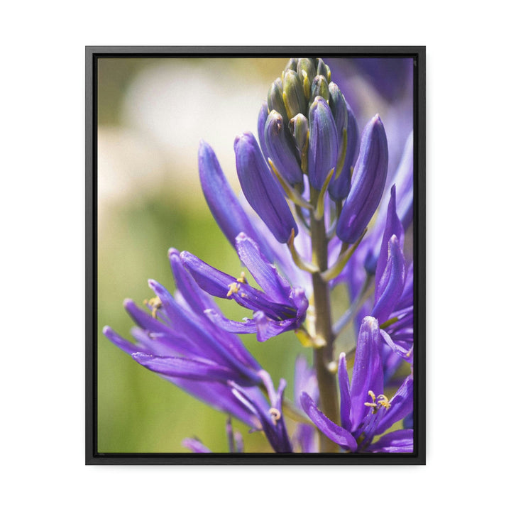 Camas in Bloom - Canvas with Frame - Visiting This World