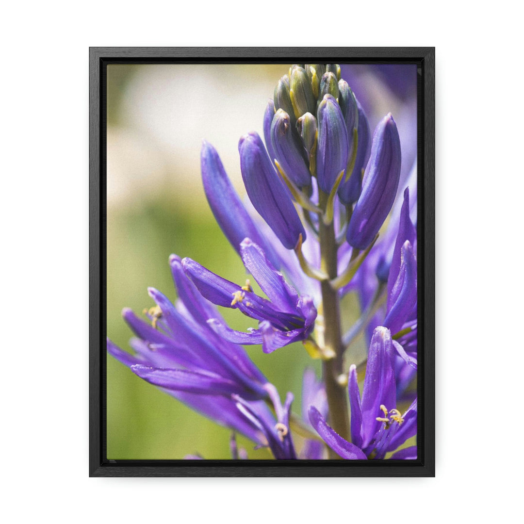 Camas in Bloom - Canvas with Frame - Visiting This World