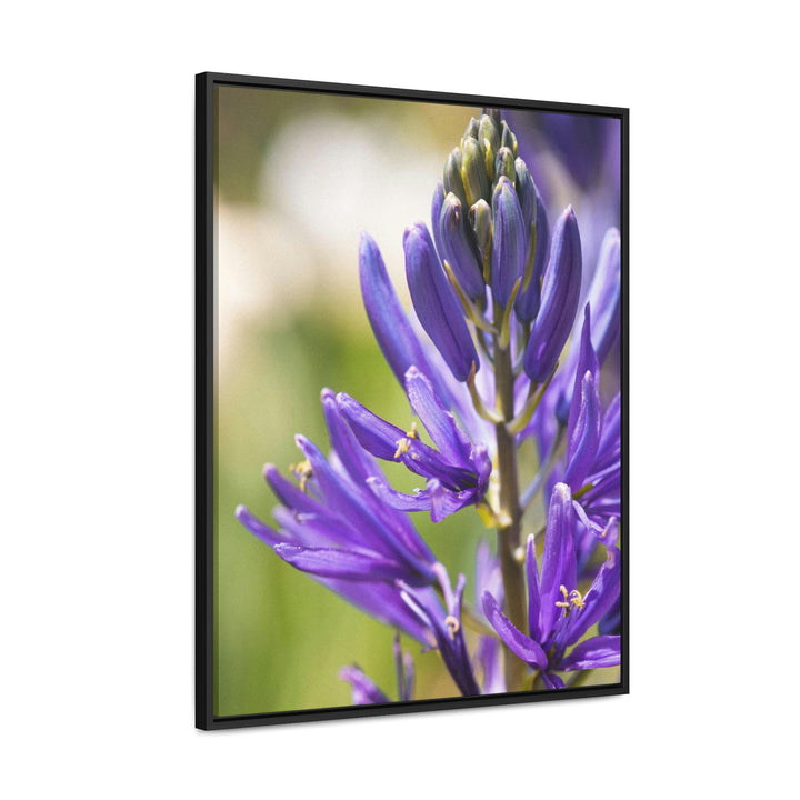 Camas in Bloom - Canvas with Frame - Visiting This World