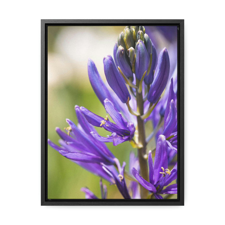 Camas in Bloom - Canvas with Frame - Visiting This World