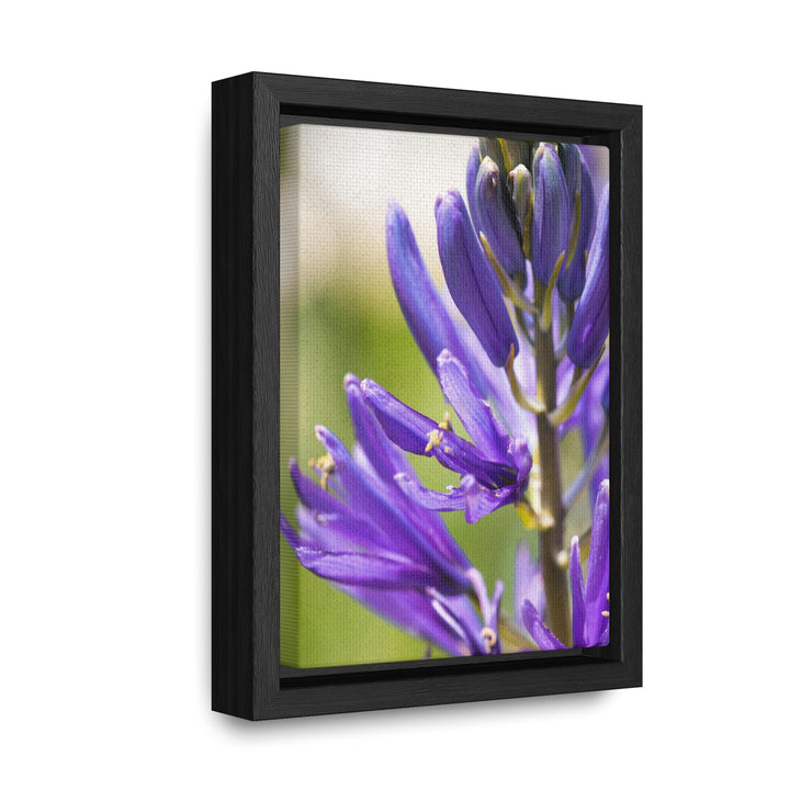 Camas in Bloom - Canvas with Frame - Visiting This World