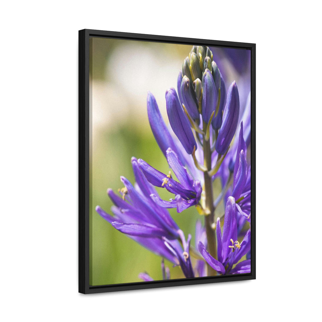 Camas in Bloom - Canvas with Frame - Visiting This World