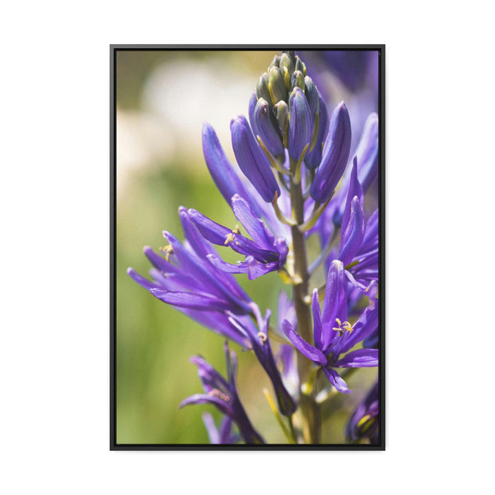 Camas in Bloom - Canvas with Frame - Visiting This World