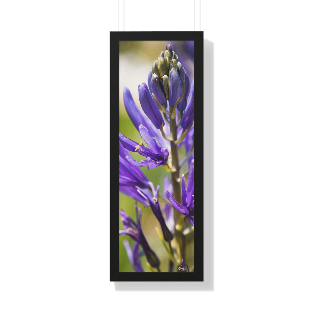 Camas in Bloom - Framed Print - Visiting This World