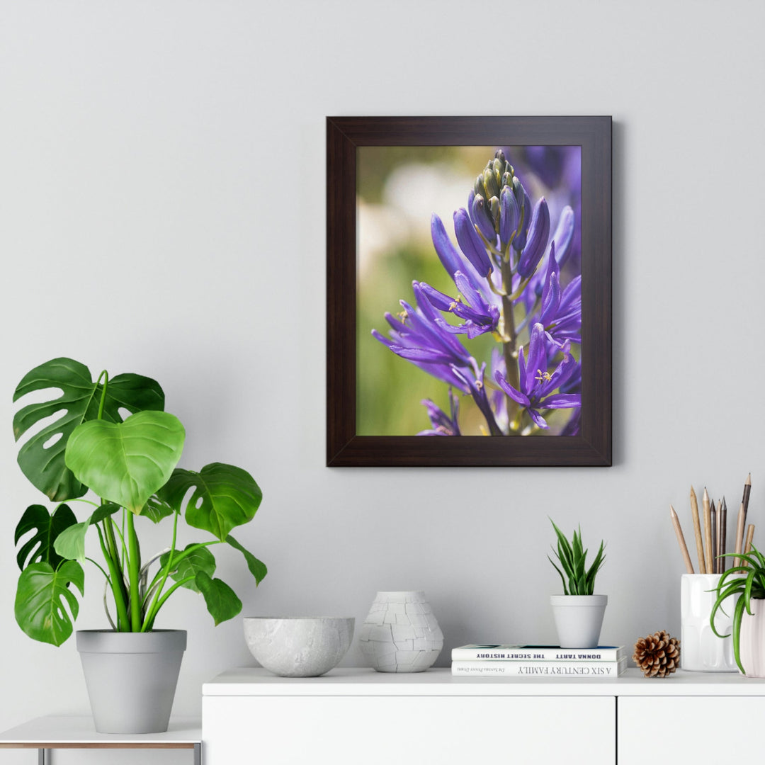 Camas in Bloom - Framed Print - Visiting This World