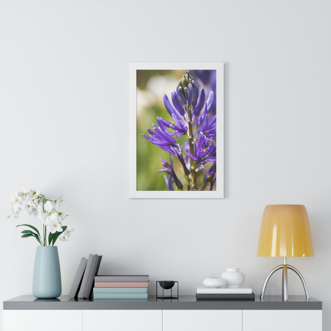 Camas in Bloom - Framed Print - Visiting This World