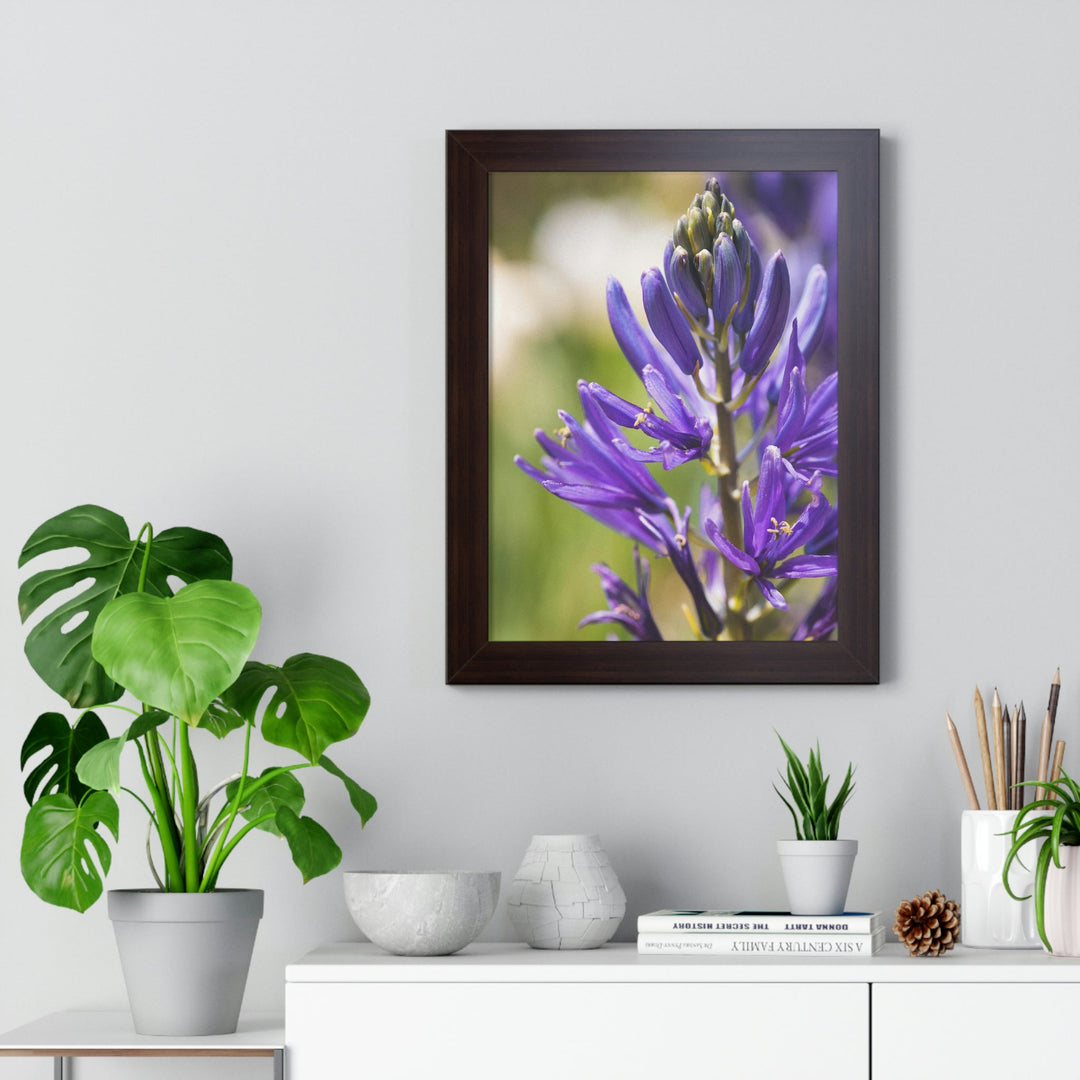 Camas in Bloom - Framed Print - Visiting This World