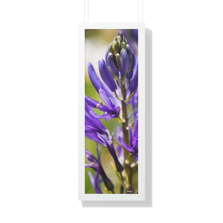 Camas in Bloom - Framed Print - Visiting This World