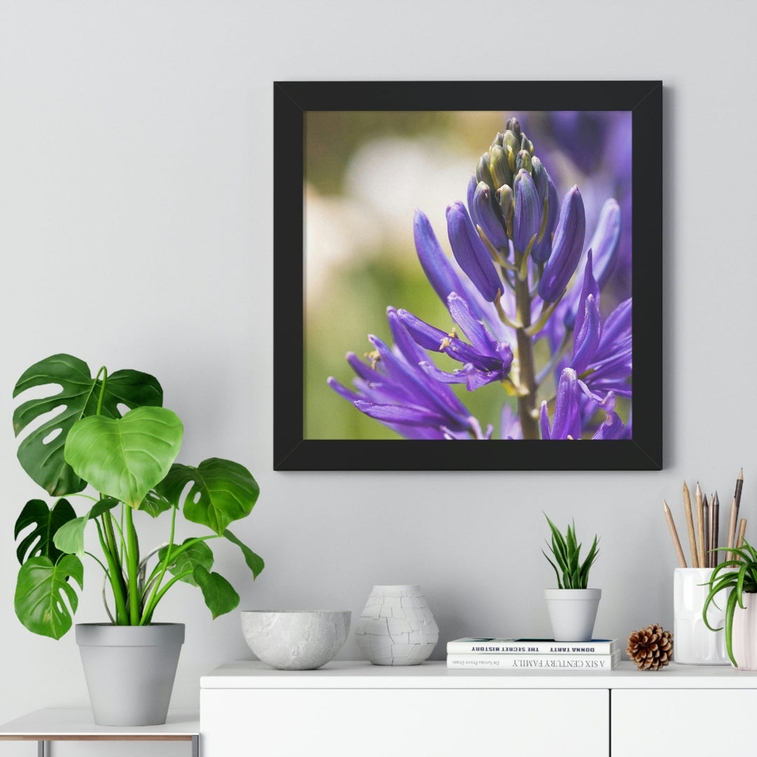 Camas in Bloom - Framed Print - Visiting This World