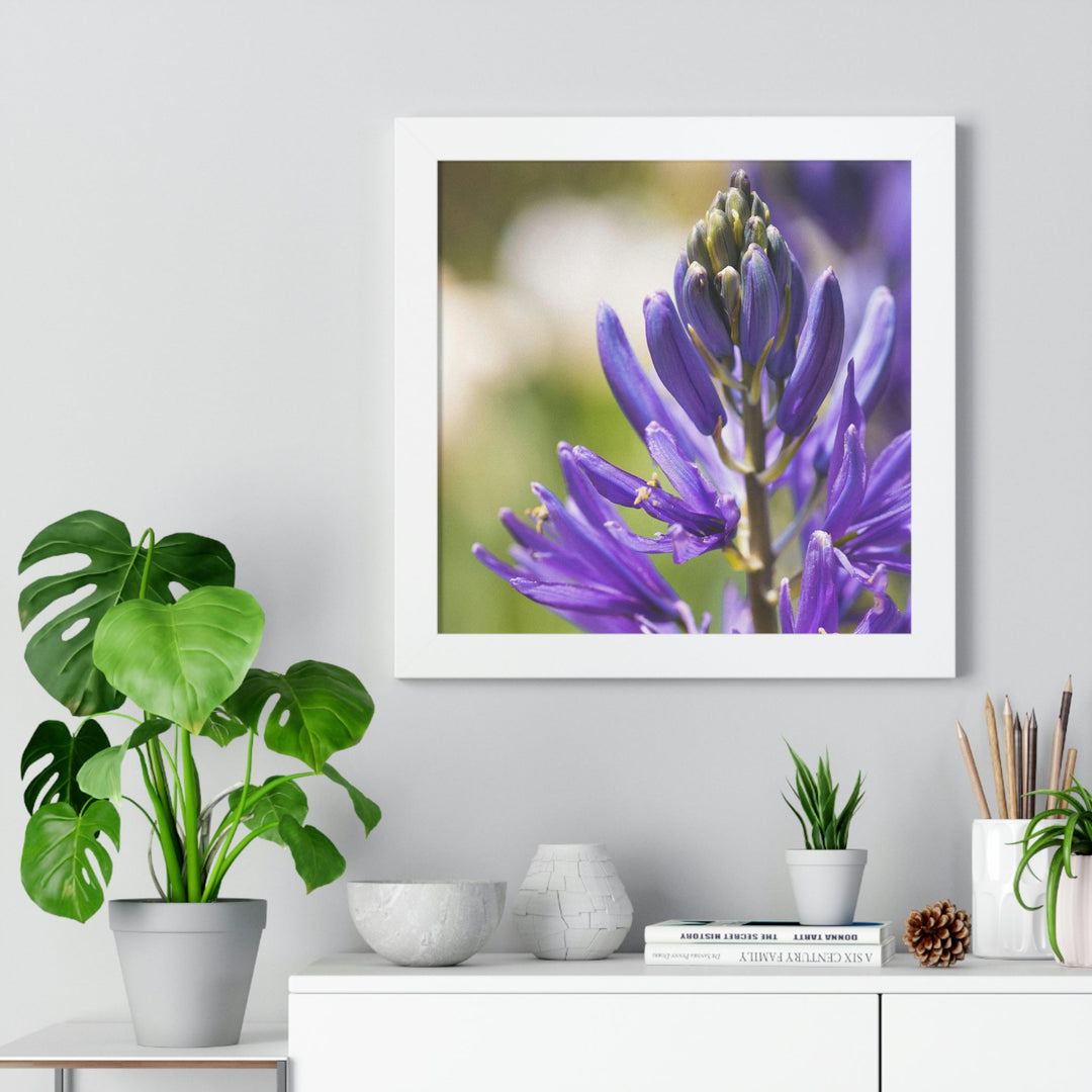 Camas in Bloom - Framed Print - Visiting This World