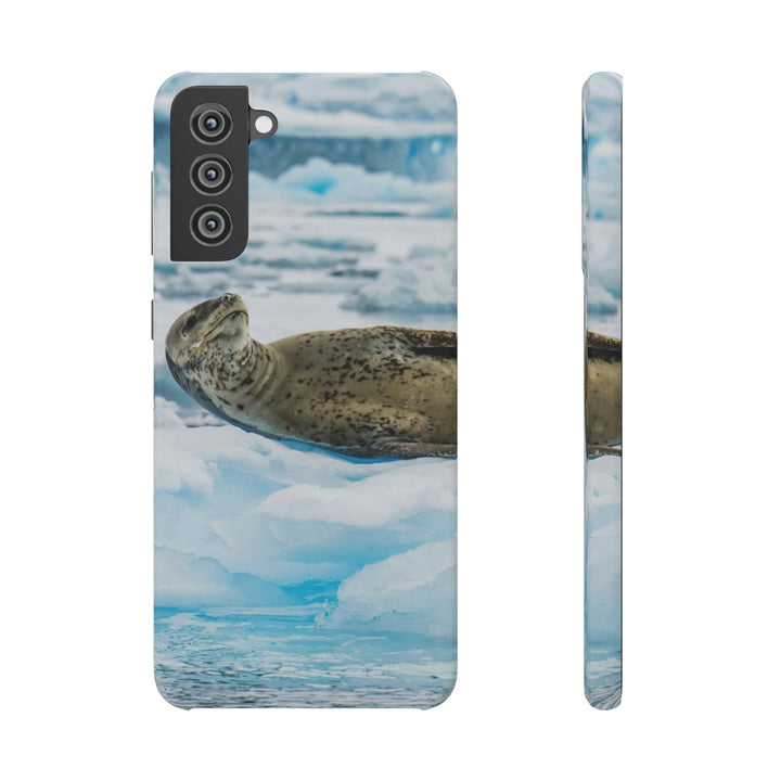 Leopard Seal Relaxing - Phone Case