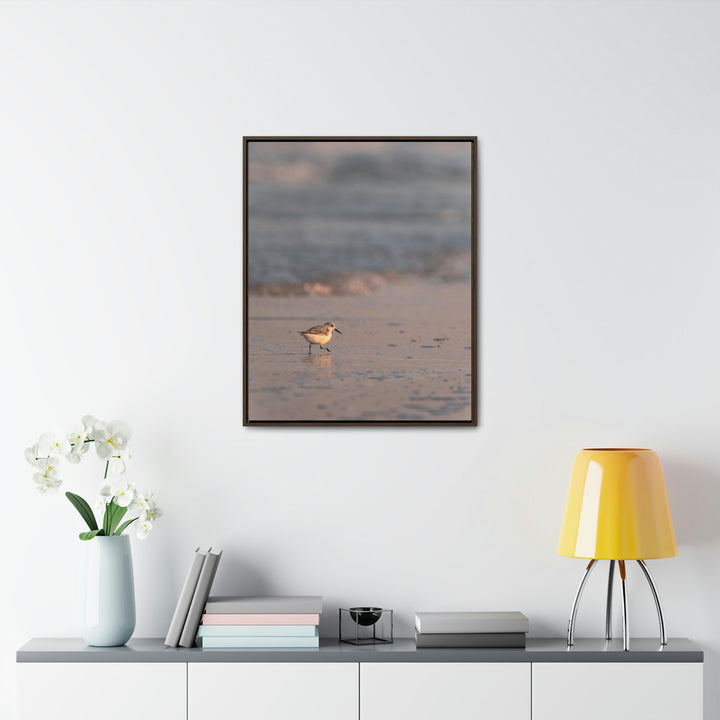 Sanderling in Soft Dusk Light - Canvas with Frame