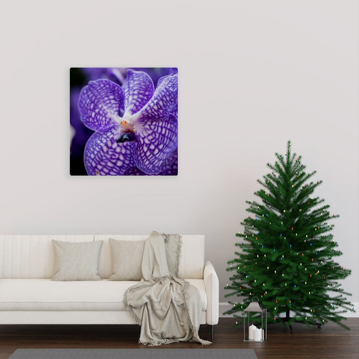 Orchid Detail - Canvas